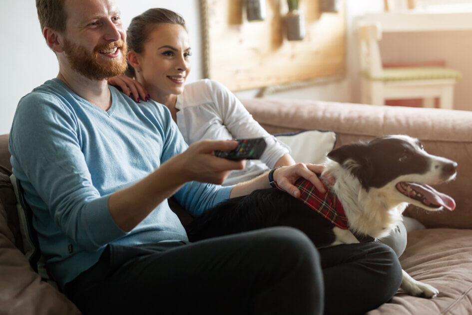 Smiling couple on couch with dog watching TV